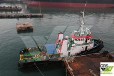 30m / 29ts BP Tug for Sale / #1069586