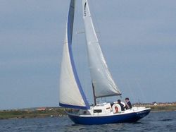 Wing 25 classic sailing yacht