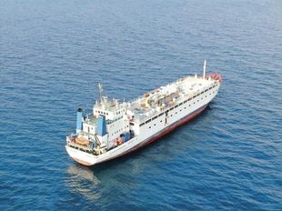 2,000 DWT Livestock Carrier - 2016 Conve