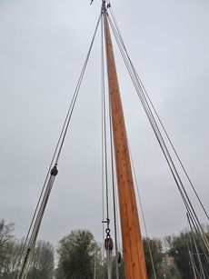 Zeiltjalk