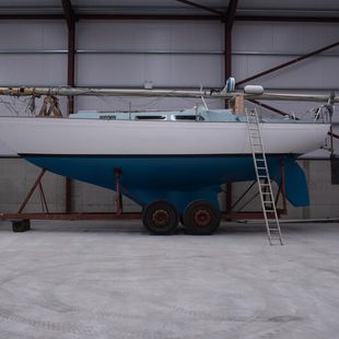 NICHOLSON 35, excellent cruising yacht   £25000