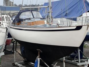 Tradewind 33
