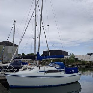 Hunter Ranger 265