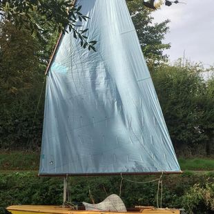 Brigham Scow ( Magic )
