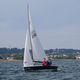 Wayfarer Racer 10916