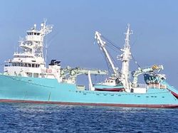 60mtr American Purse Seiner