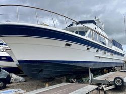 1989 Trader 54 Sundeck