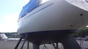 1979 albin ballad sail 9455907 20240706014512347 1 XLARGE