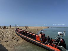 Tornado 10M Super CAT 4 Charter Seafaris 12+2