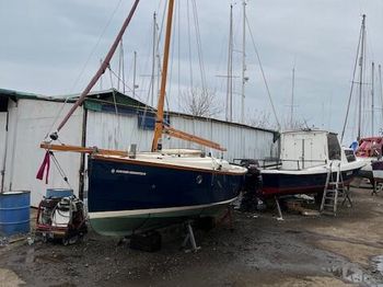 Shrimper 19