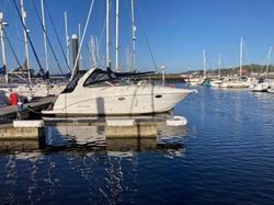 Chaparral 290 SIgnature