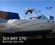 2005 Sea Ray 270 amberjack