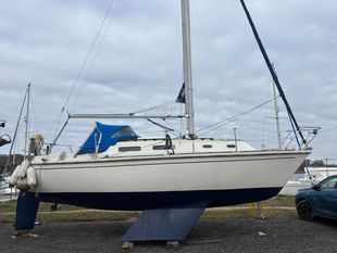 1985 Westerly Griffon