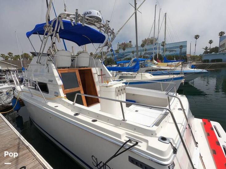 1994 Skipjack 262