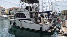 1984 Bertram 33 Flybridge Cruiser