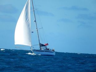 Van de Stadt 36 steel cruising yacht