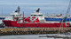 Platform-Supply-Diesel Electric Economical PSV