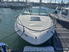 Sea Ray 215 Express Cruiser  - Bow