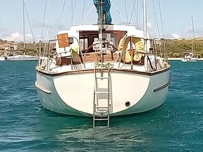Colvic Victor 34  - Stern