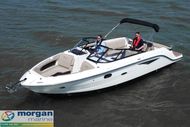 2020 Sea Ray 250 SLX