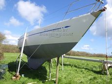 1980 Lord Helmsman 31