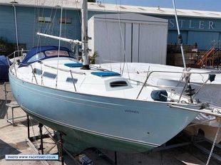 Nicholson 35