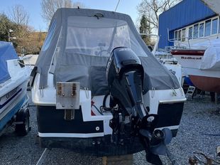 Spectrum 480 Pilothose 2018
