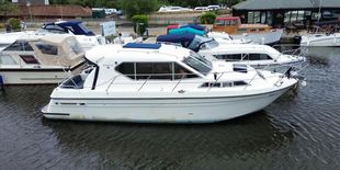Haines 31