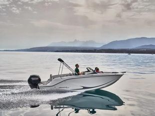 2024 Bayliner M19