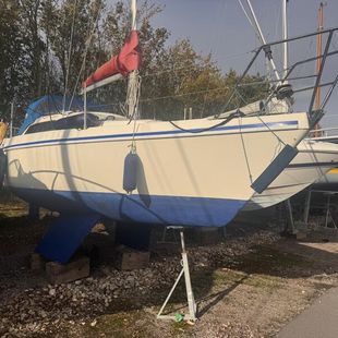 Hunter Horizon 26