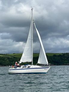 Jaguar 24