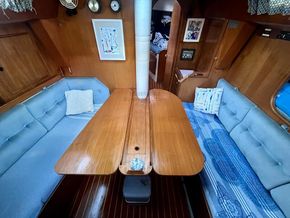 Oyster  406  - Saloon Table