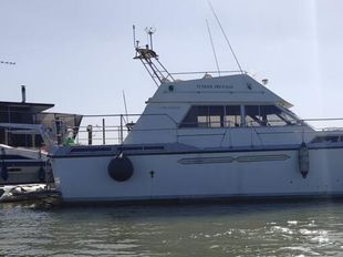 Princess 41