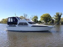 Cleopatra Camargue 46