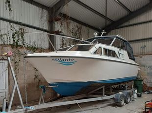 Princess 25