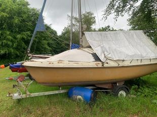 Skipper 17