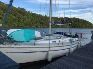 Sadler 29