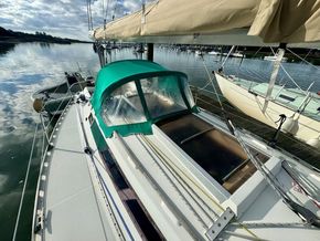IMG 9932