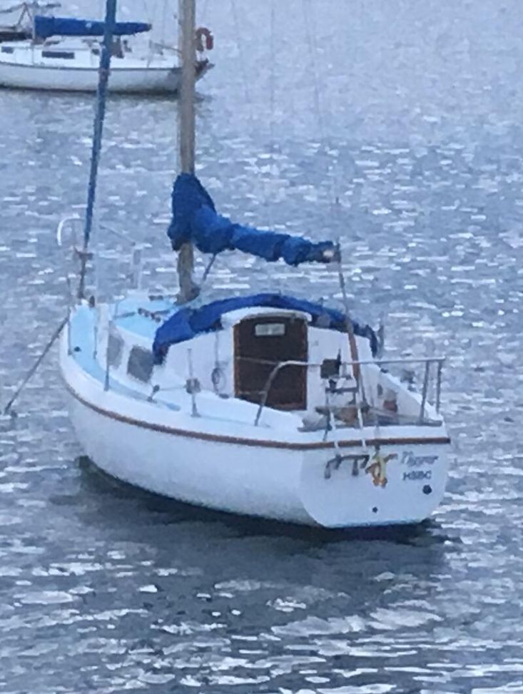 WESTERLY TIGER + YARD TRAILER + DINGHY