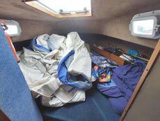 Westerly Konsort (reduced)