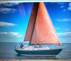 Twister 28 for sale