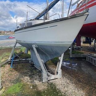 Hurley 22