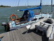 Kestrel 24