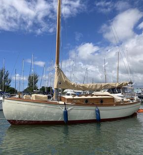 Zircon on Lymington river
