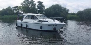 Renaissance 31