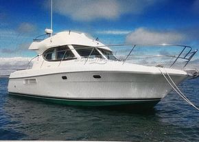 Jeanneau Prestige 32 Flybridge Extended Swim Platform - Exterior