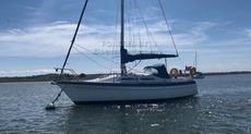 1981 Moody 29