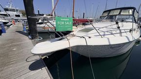 IMG 7166