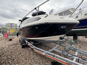 IMG 4779