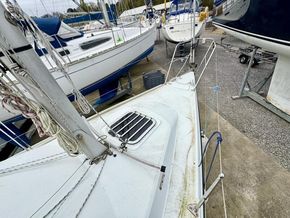 IMG 4685